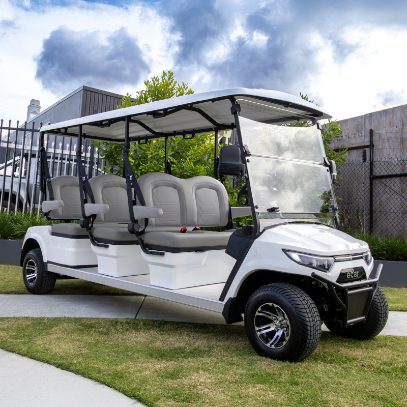 ECAR Lithium Magnum 6F Golf Cart