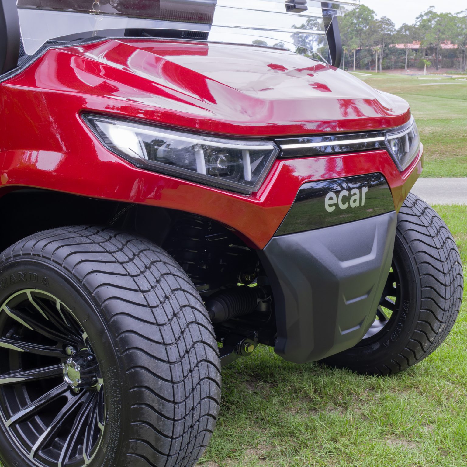 O2k Ecar The Upgraded: ECAR Lithium Magnum 2S Platinum Golf Cart