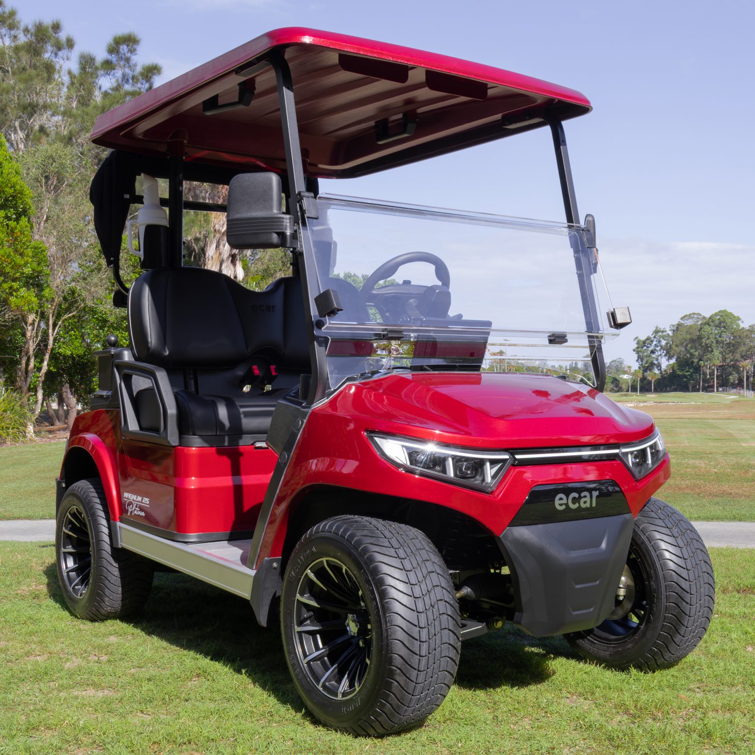 O2k Ecar The Upgraded: ECAR Lithium Magnum 2S Platinum Golf Cart